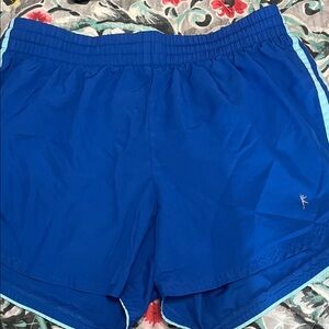 Danskin Vibrant Blue Shorts